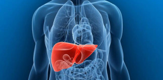 ‘Made in India’ human mini-livers are here