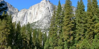 Environment ministry launches India chapter of ‘Economics of Ecosystems and Biodiversity’