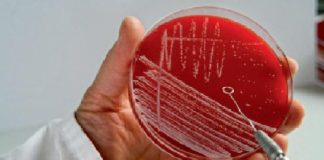 Antimicrobial resistance: Asia Pacific countries vow to tackle it together