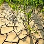 drought situation