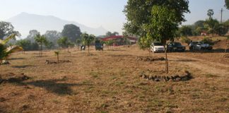 Govt transfers 2 acres of IARI land to Veterinary Council of India