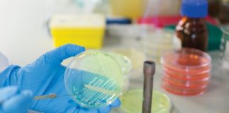 Budget 2025: Biotech stakeholders welcome focus on R&D, digitalization