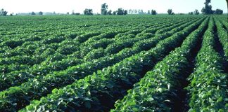 India to work closely with Portugal & Kenya in agriculture, its allied sectors