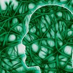 neural-pathways-221718_1280
