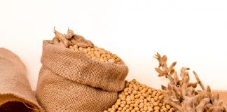 International Soybean Growers Alliance in India to explore soy market potential