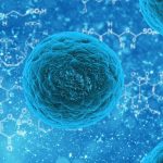 stem-cells