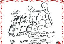 Nature’s cure: the plastic eating larvae! (By Dr Anju D Vaish)