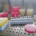 laboratory-829371_1280