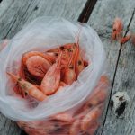 shrimp-598229_1920