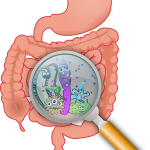 anatomy-160524_640