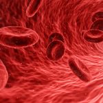 blood-1813410_1920 (1)