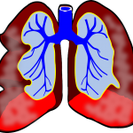 lungs-39981_640