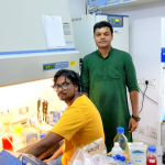 Implantable Silk Mat