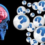 brain-2546101_1280