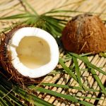coconut-1501334_1280