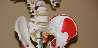 IIT Roorkee researchers develop low cost method for treatment of osteoarthritis