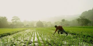 Calling off farm agitation to add 0.25% in India’s GDP in 2021-22: PHD Chamber