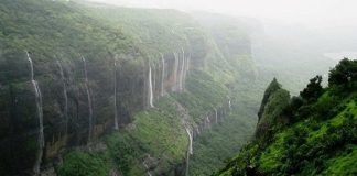 Wind turbines are impacting ecology in Western Ghats