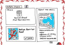 Saving Mesoamerican Reef! (By Dr Anju Dave Vaish)