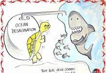 Humans drink oceans, Sharks walk on earth! (By Dr Anju Dave Vaish)