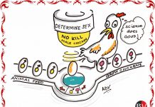 Science for Good! (By Dr Anju Dave Vaish)