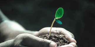 Budget 2025: Agri stakeholders welcome govt’s focus to bolster rural economy & sustainability