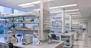 Bio Valley Incubation Council receives funding from DBT