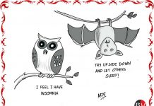 Insomnia in the jungle! (By Anju Dave Vaish)
