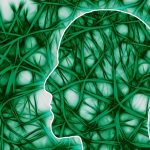 neural pathways