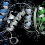 India Biosimilars Market TMR