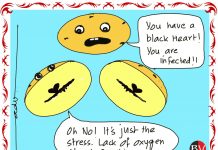 Black hearted potato! (By Dr Anju Dave Vaish)