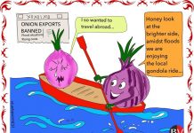 Onions amidst floods! (By Dr Anju Dave Vaish)