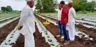 Flipkart Foundation & TechnoServe join forces to empower smallholder farmers in Maharashtra & Andhra Pradesh