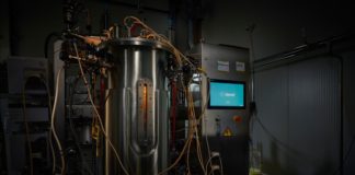 New study shows farmed fish grow healthier with fungi compared to soybeans