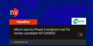 Micot reports Phase II endpoint met for stroke candidate MT200605